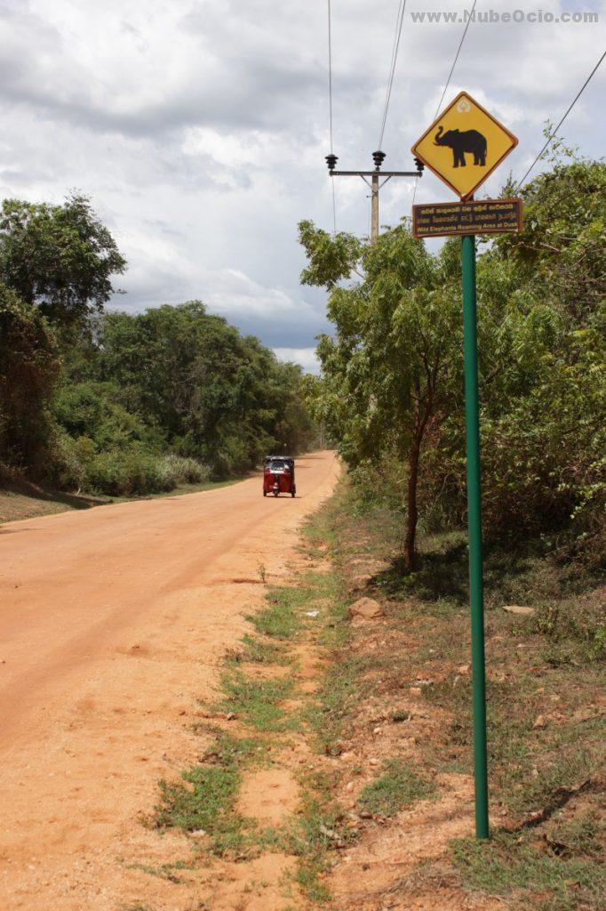 Camino Sigiriya Sri Lanka