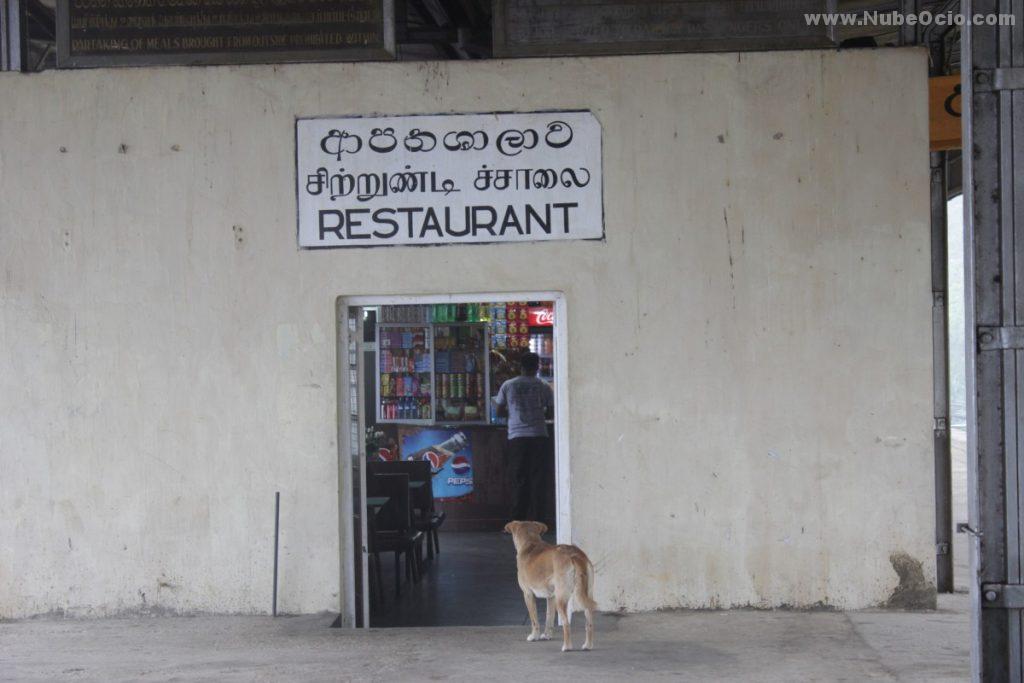 Estación de Nanu Oya Sri Lanka