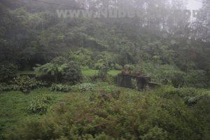 Tren hacia Ella Sri Lanka