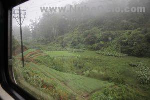 Tren hacia Ella Sri Lanka