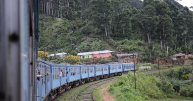 Tren de Nuwara Eliya a Ella en Sri Lanka