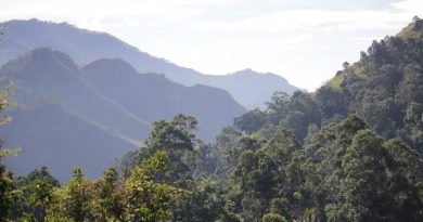 Montañas Ella Sri Lanka