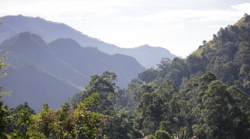 Montañas Ella Sri Lanka